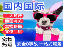 鄂伦春空运代理国际宠物托运 【国